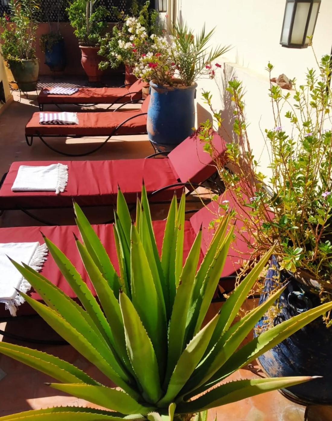 Riad Dar Zampa Marrakesch Exterior foto