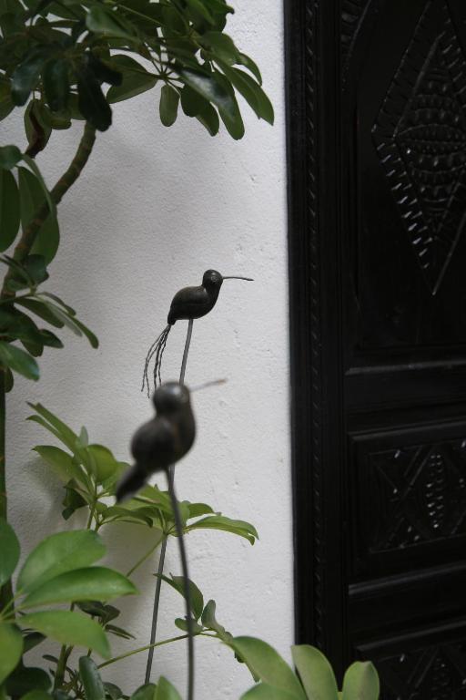 Riad Dar Zampa Marrakesch Exterior foto